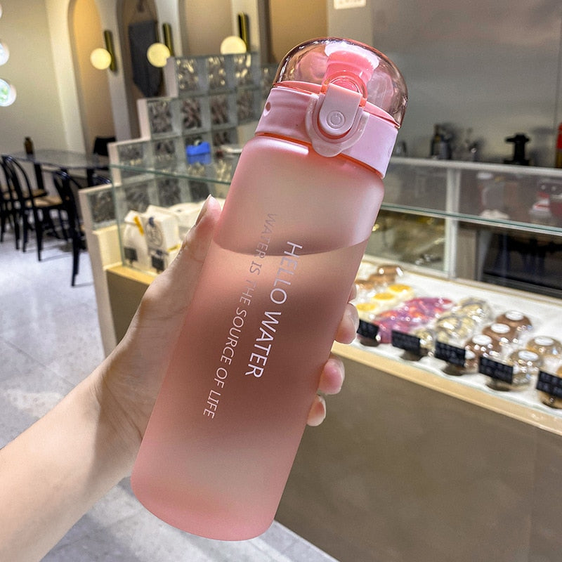 PORTABLE WATER BOTTLE - FROSTED PINK